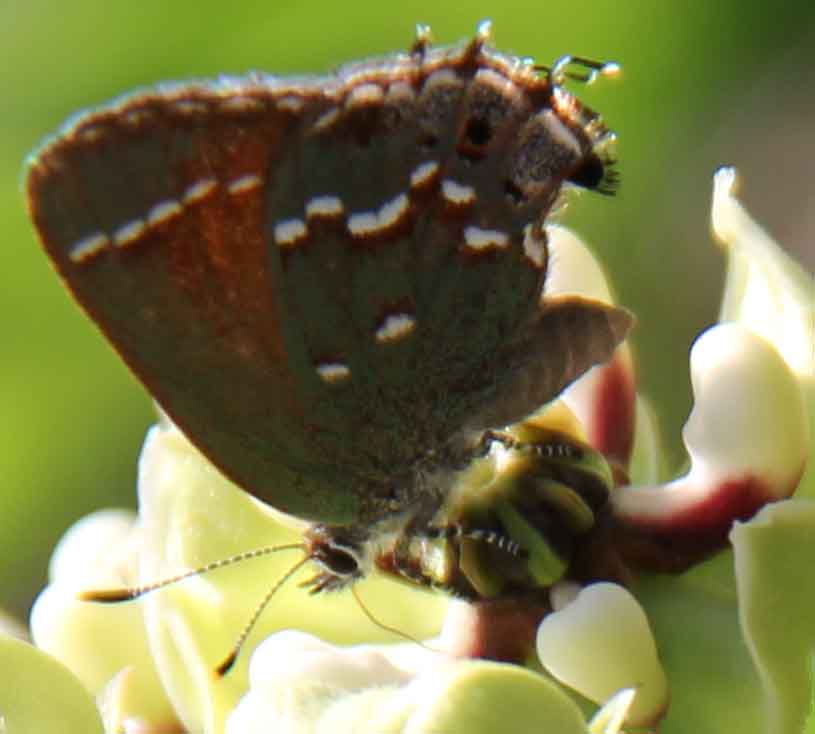 Original Paintings For Sale