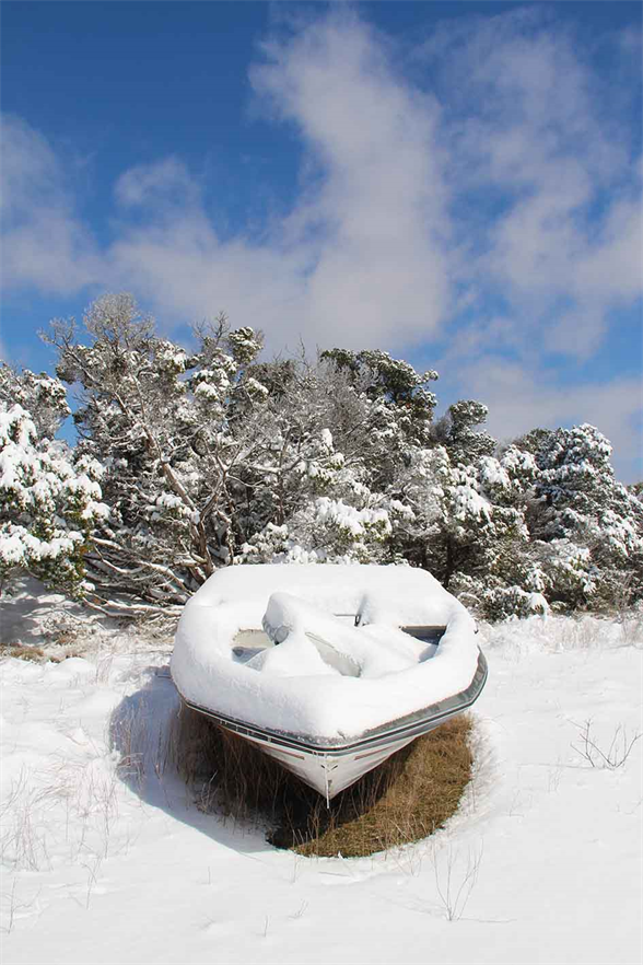 Fine Art Museum,
Art Exhibit Online.
Free Art Exhibit.