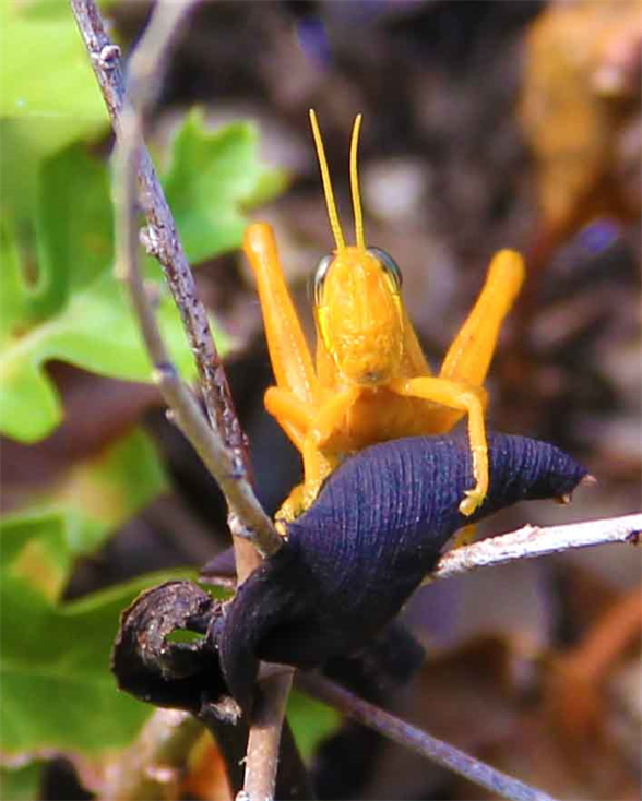 Art Photography Exhibit