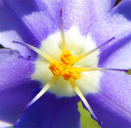 Latest Art Exhibitions